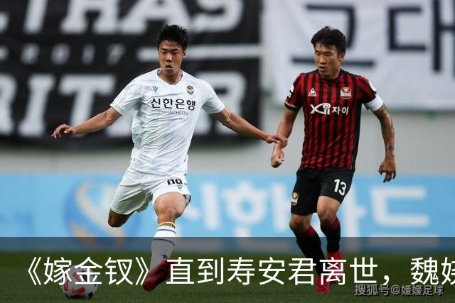 《嫁金钗》直到寿安君离世，魏娆才明白，君黛之后还有强敌