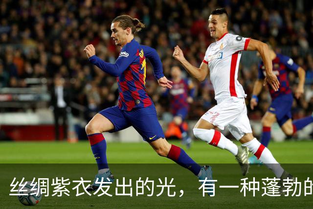 丝绸紫衣发出的光，有一种蓬勃的运势！