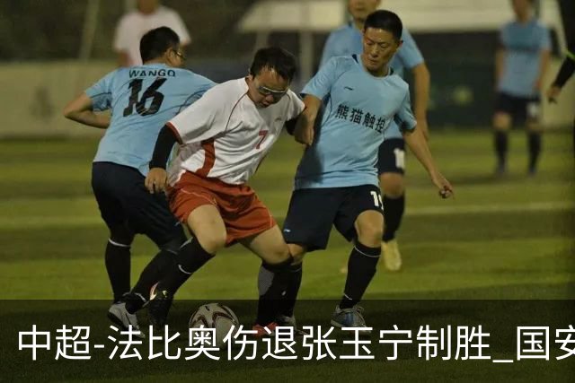 中超-法比奥伤退张玉宁制胜 国安1-0西海岸14轮不败