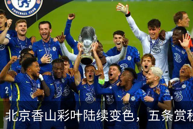 北京香山彩叶陆续变色，五条赏秋线路各有特点
