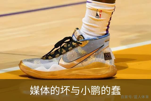 媒体的坏与小鹏的蠢