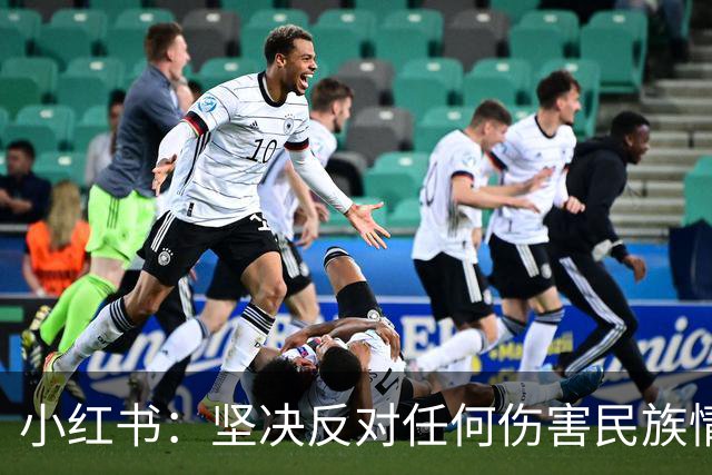 小红书：坚决反对任何伤害民族情感的行为，与姆巴佩内容合作已于2024年12月31日结束，目前正持续核查并下架相关物料