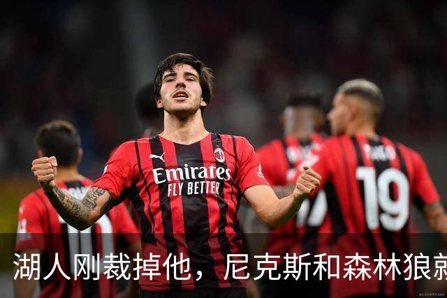 湖人刚裁掉他，尼克斯和森林狼就盯上了