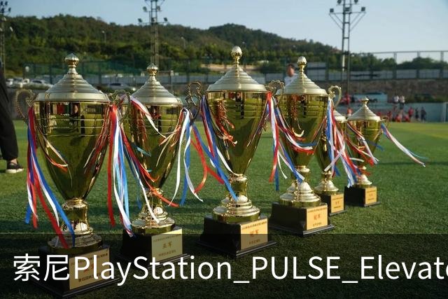 索尼PlayStation PULSE Elevate无线音箱国行预售，1748元