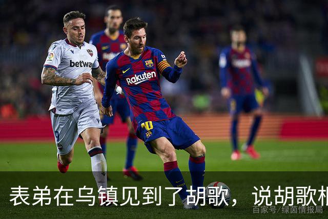表弟在乌镇见到了胡歌，说胡歌根本不是电视上的那样